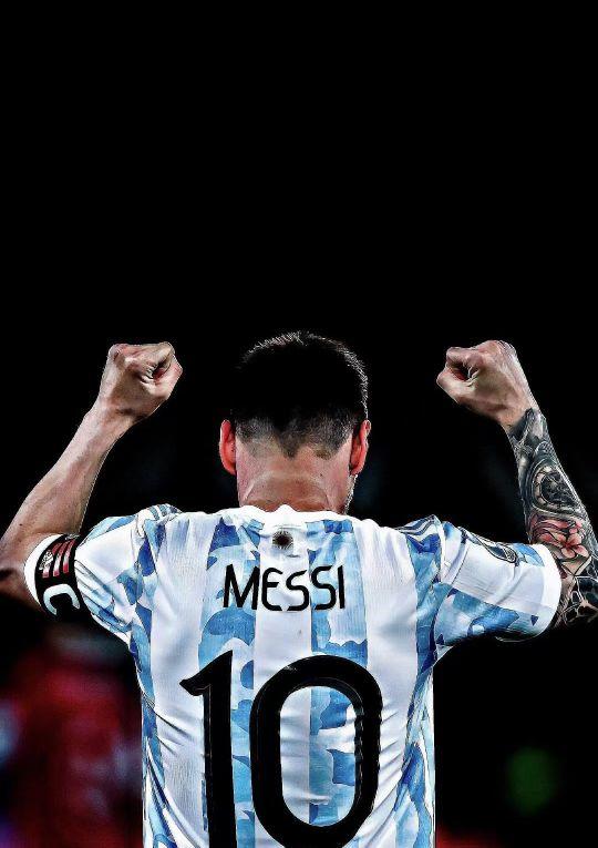 2025赛季足协杯现场观众总人数为505278人次，场均8020人（2025赛季足协杯累计观众505278人次，场均8020人）